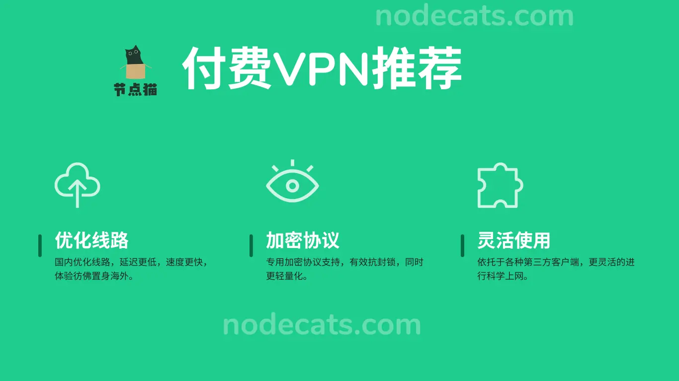 中国国内稳定好用的付费VPN推荐-节点猫