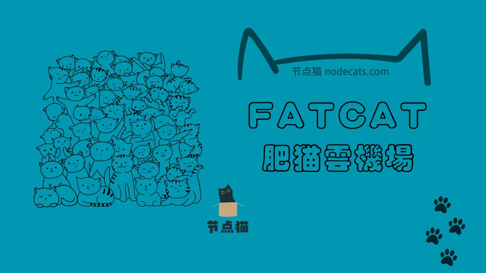 fatcat 肥猫云机场 fatcat 肥猫云机场