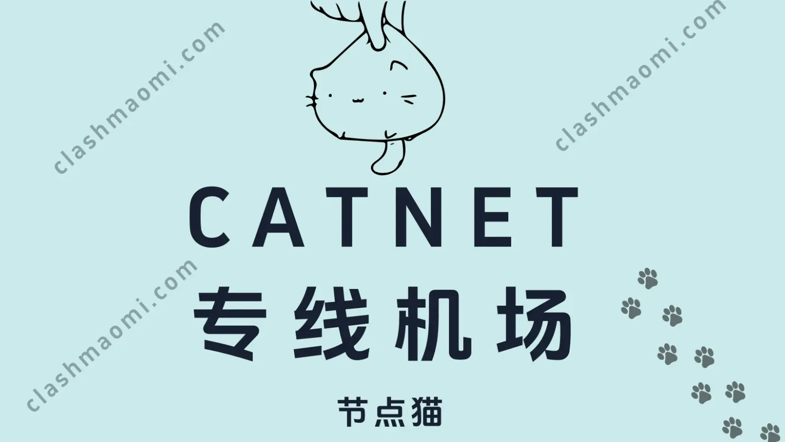 CATNET VPN 机场加速器