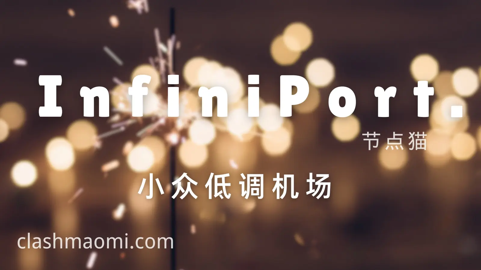 InfiniPort 机场梯子VPN