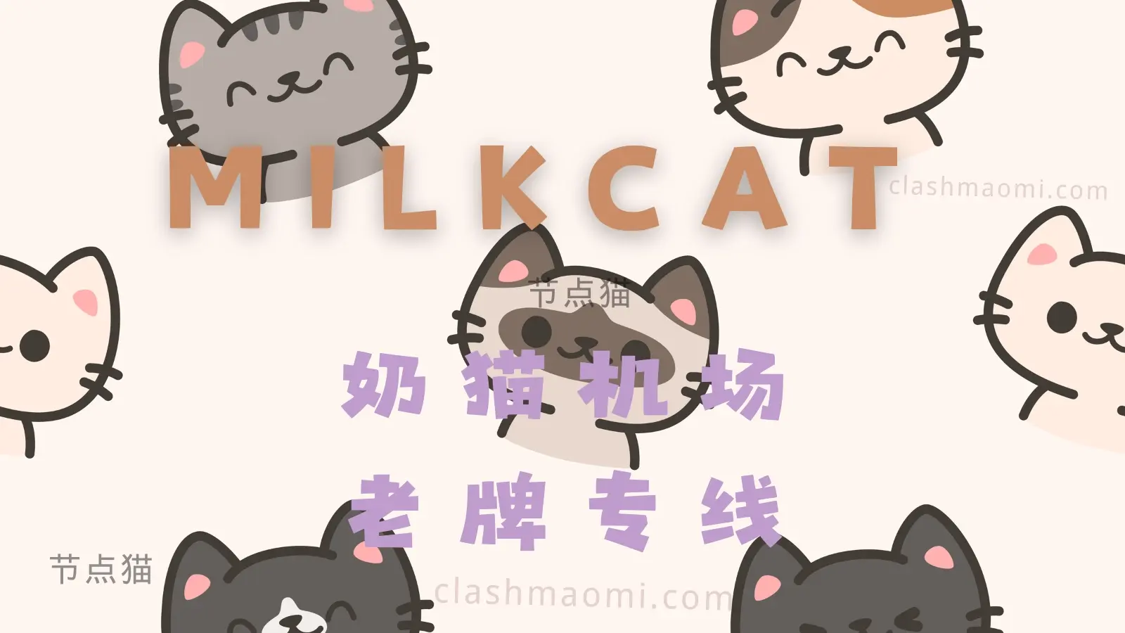 milkcat 奶猫机场VPN milkcat 奶猫机场VPN